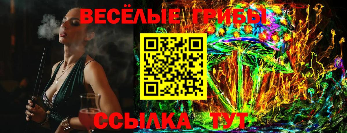 Псилоцибиновые грибы мицелий  Псилоцибиновые грибы GOLDEN TEACHER  продажа наркотиков  Мариинск  Вход с VPN 